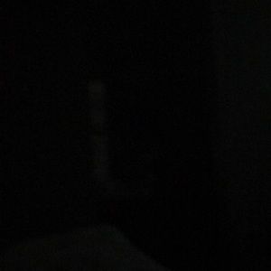 Meet your Posher, Presley